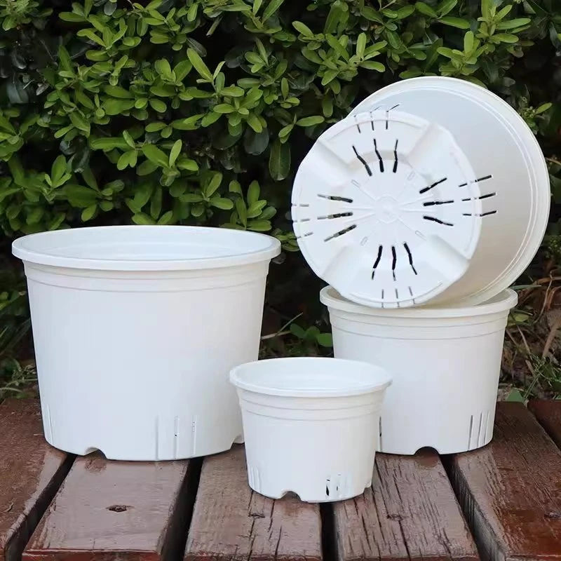 Clear Nursery Pot with Drainage Holes Transparent Plastic Orchid Pots Round Planter Pot Garden Planters for Flowers Succulents