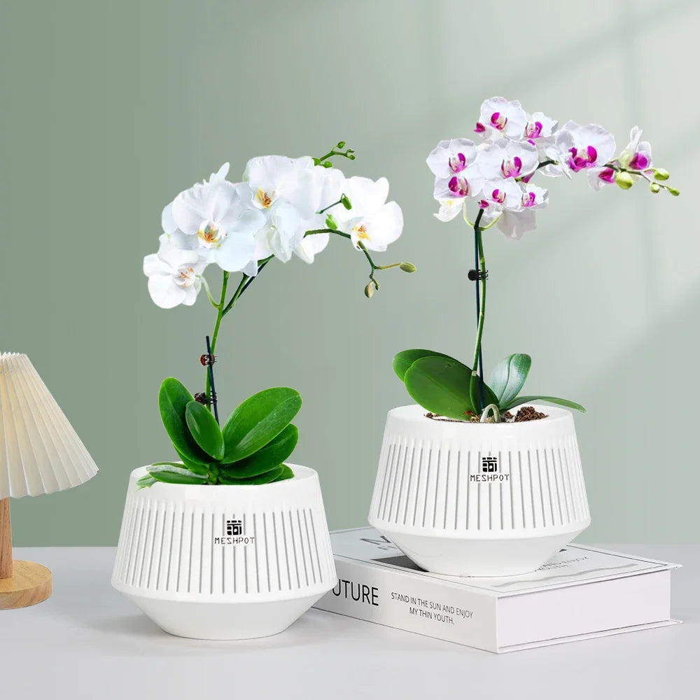Meshpot Orchid Pot with Holes 5inch Orchid Planter with Drainage Holes and Tray Promoting Air Circulation and Drainage